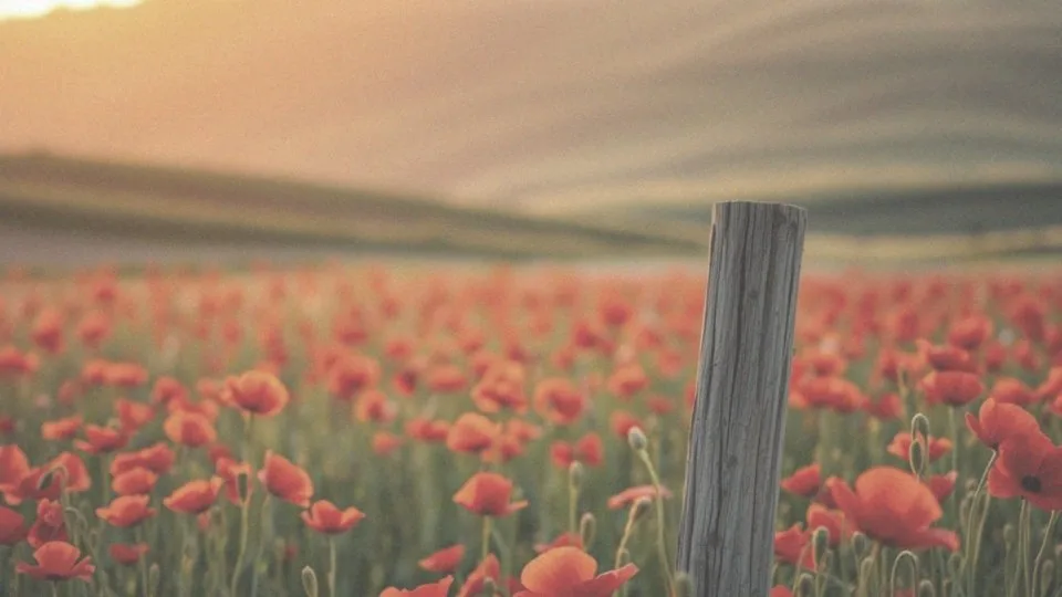 Baran jaki żywioł? Odkryj powiązania z żywiołem ognia