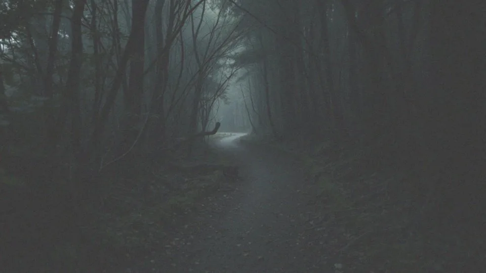 Co oznacza sen o porwaniu i ucieczce? Interpretacja i znaczenie